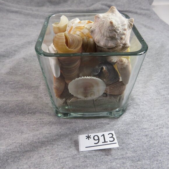 REAL Sea Shells in a Glass Square Vase and sand #6 - Picture 4 of 9